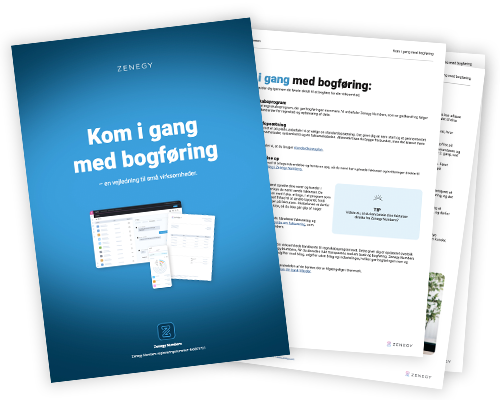 Zenegys Bogføringsguide.
