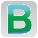 Bitabiz logo