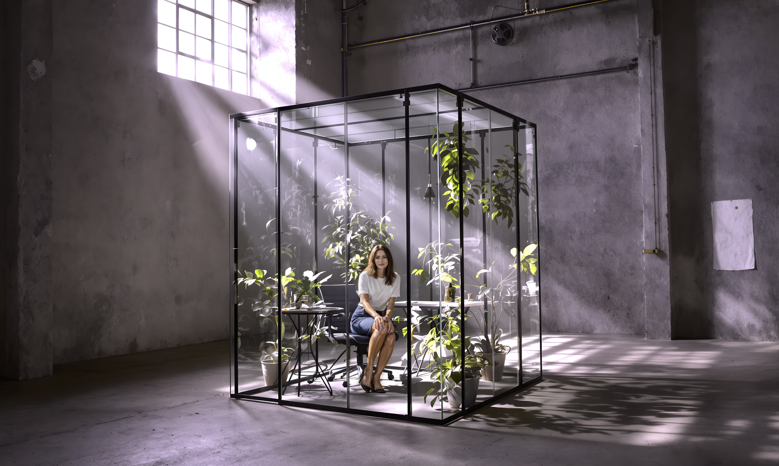 Gennemsigtighed hos Zenegy